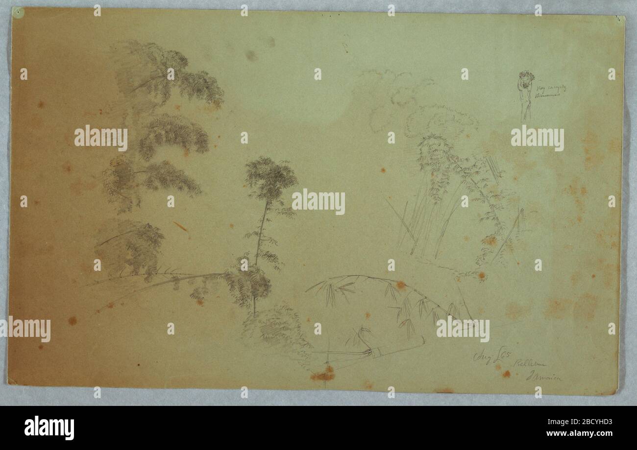 Studi di alberi con dettagli di bambù e un piccolo dettaglio di un uomo che porta banane sulla sua testa Bellevue Giamaica. Ricerca in ProgressHorizontal vista di alberi e dettagli di bambù con un uomo senza piedi visibili, portando banane sulla testa in alto a destra in piccola scala. Studi di alberi con dettagli di bambù e un piccolo dettaglio di un uomo che porta banane sulla sua testa Bellevue Giamaica Foto Stock