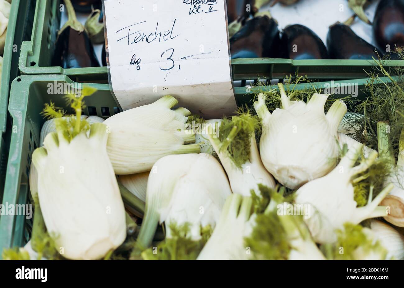 Finocchio biologico in una cassa vegetale in un autentico mercato agricolo Foto Stock