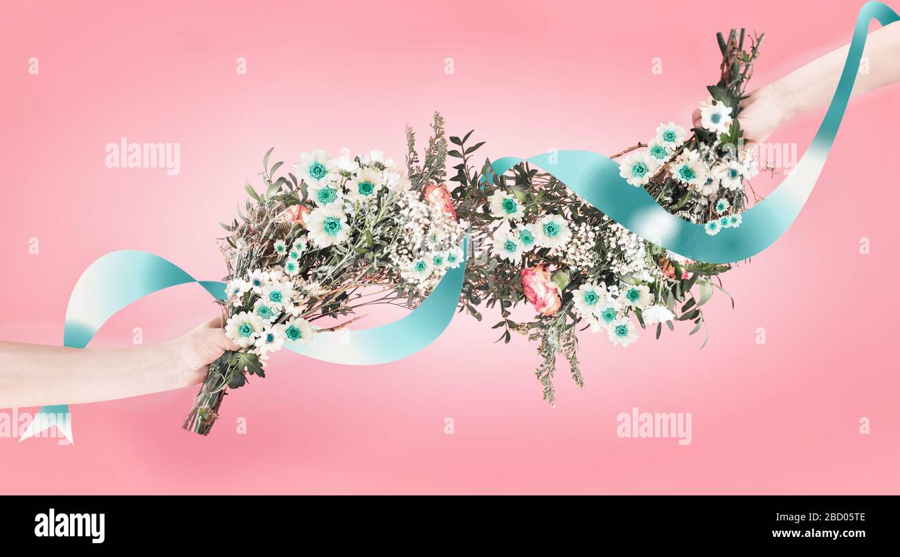 Bella garland fiori con nastro blu in mani femminili su sfondo rosa pastello. Saluto. Matrimonio. Carta. Layout floreale creativo. Giorno delle madri. Bo Foto Stock
