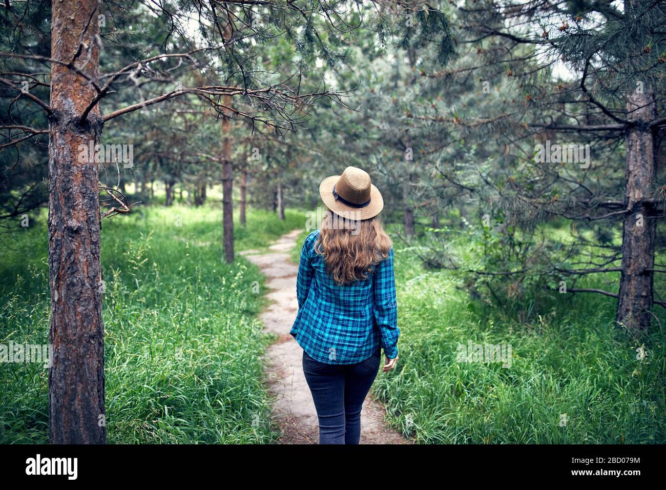 Giovane donna in marrone cappello e verde maglietta controllati con capelli lunghi passeggiate nella foresta di alberi di pino Foto Stock