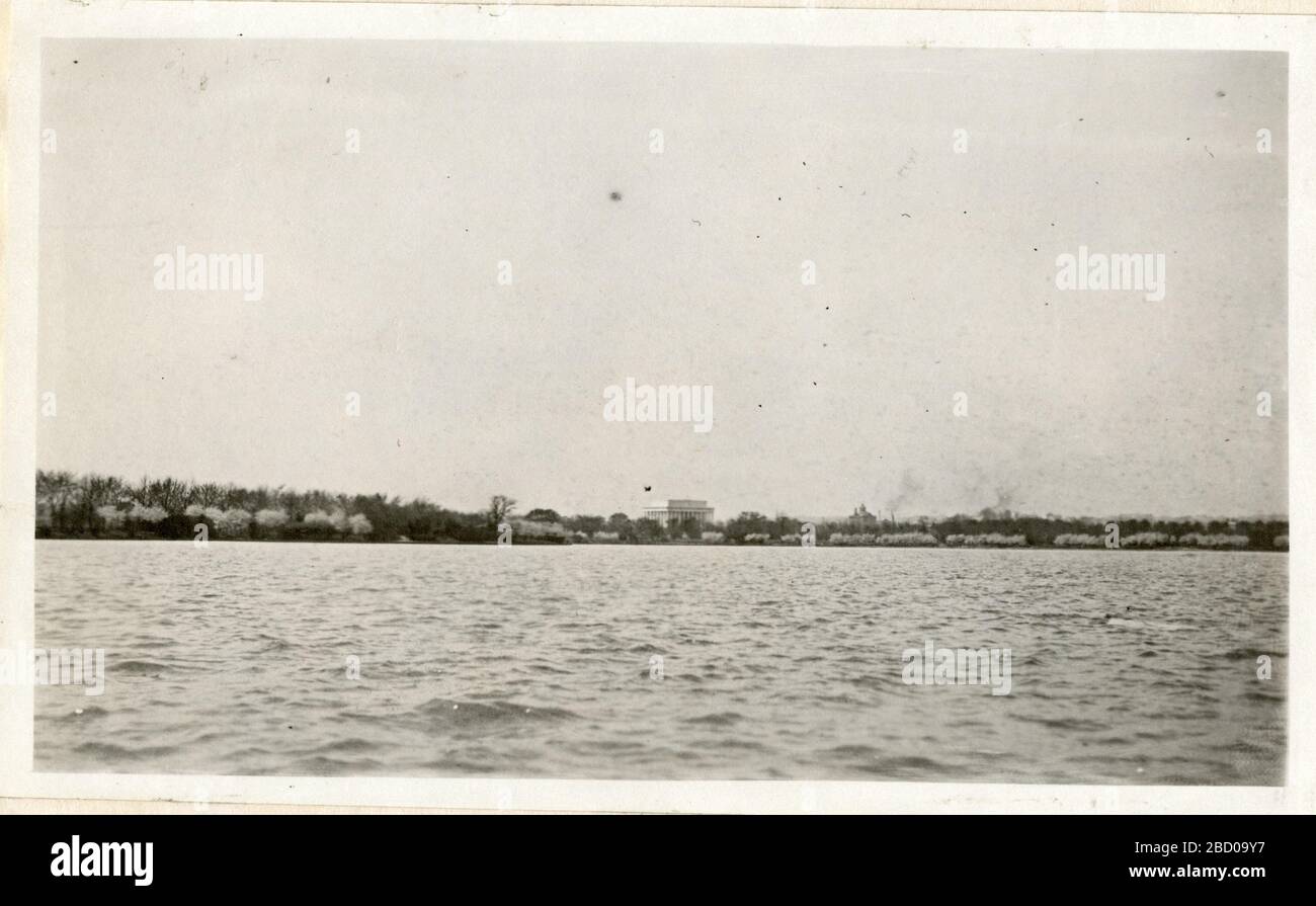 Cherry Blossoms intorno al bacino del Tidal con il Lincoln Memorial sullo sfondo. Archivio Smithsonian Institution, unità di registrazione 7355, Martin A. Gruber Collezione di Fotografie, immagine n. SIA2010-2102Archivi Smithsonian Institution, Capital Gallery, Suite 3000, MRC 507; 600 Maryland Avenue, SW; Washington, DC 20024-2520 Cherry Blossoms intorno al bacino del Tidal con il Lincoln Memorial sullo sfondo Foto Stock