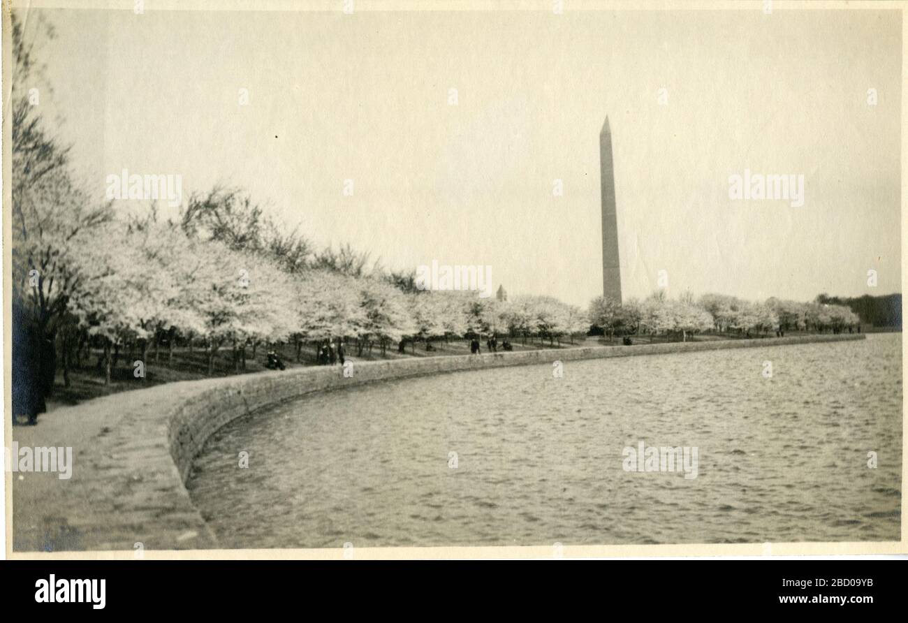 I ciliegi fiorono intorno al bacino del Tidal con il Washington Monument sullo sfondo. Smithsonian Institution Archives, Record Unit 7355, Martin A. Gruber Photo Collection, Image No. SIA2010-2097Smithsonian Institution Archives, Capital Gallery, Suite 3000, MRC 507; 600 Maryland Avenue, SW; Washington, DC 20024-2520 Cherry Blossoms intorno al bacino del Tidal con il Washington Monument sullo sfondo Foto Stock