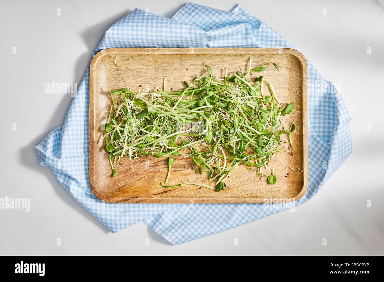 Vista dall'alto del tagliere con microgreens su tela a plaid su sfondo bianco Foto Stock