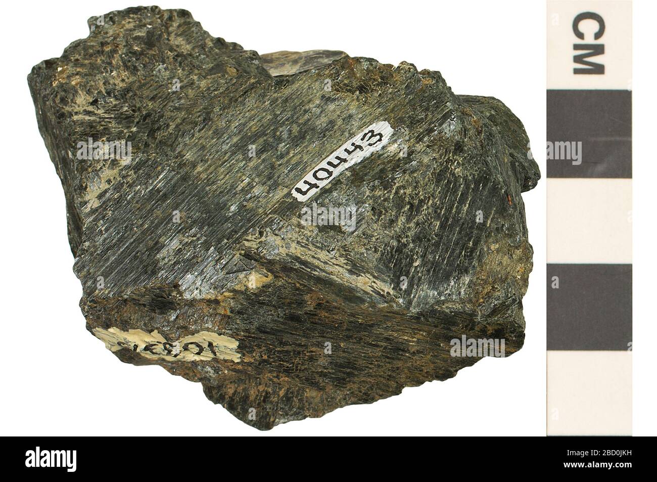 Inosilicato minerale Hornblende. EO 040443 Silicate Mineral Hornblende 002.jpg Foto Stock