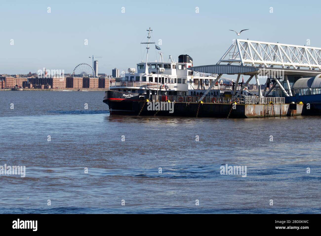 Il Mersey Ferries Royal Iris del Mersey è stato ormeggiato al terminal dei traghetti di Seacombe Foto Stock