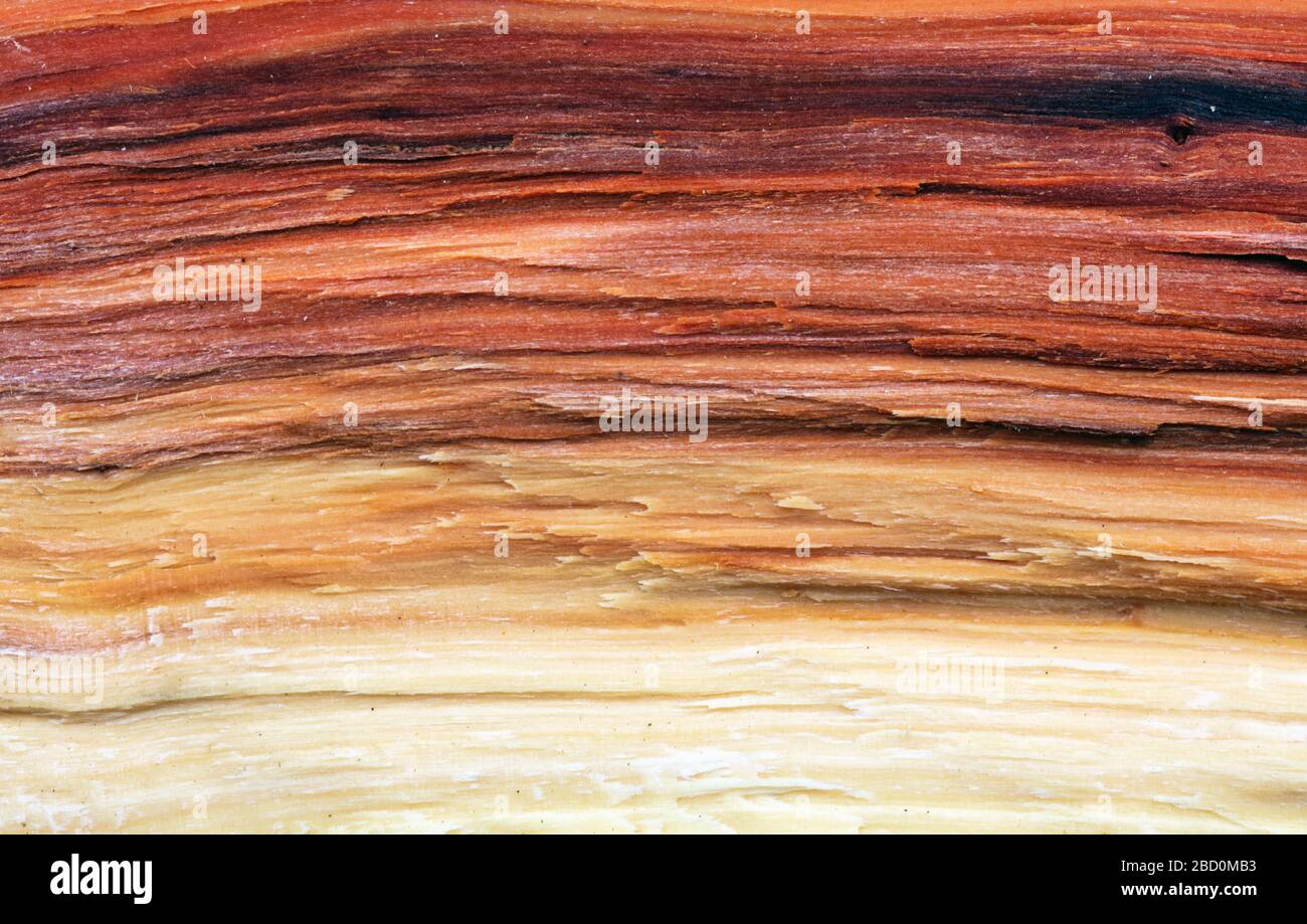 Sfondo di legno vecchio Foto Stock