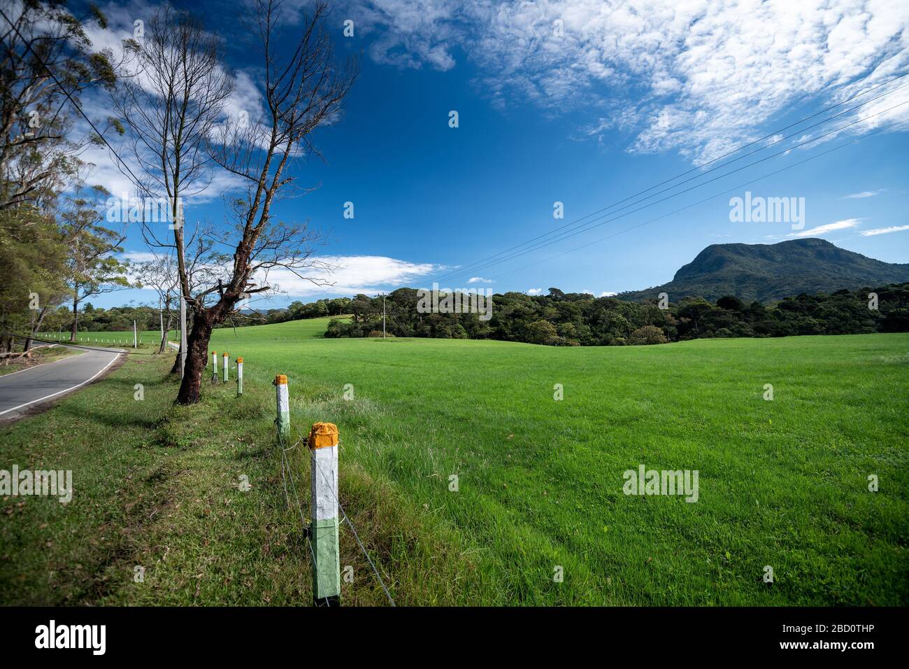 Bellissimo paesaggio ad Ambewela, Nuwara Eliya Foto Stock
