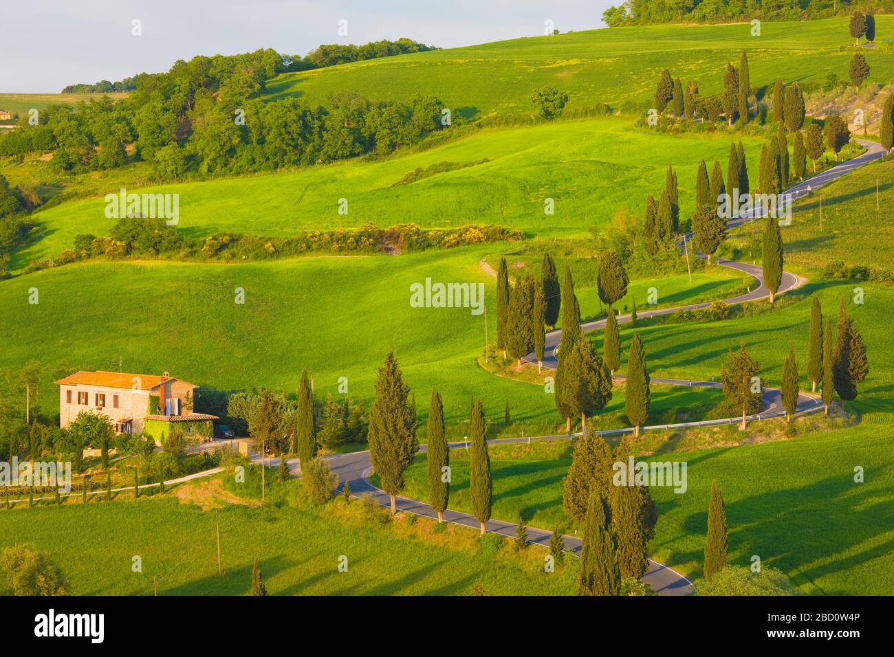 Italia, Toscana, Val D'Orcia, strada tortuosa Foto Stock
