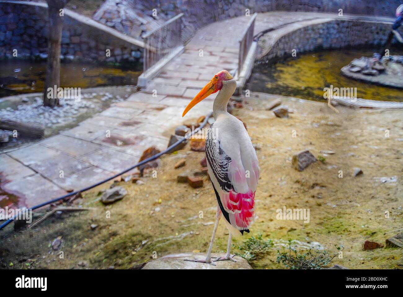 Il Parco Zoologico Nazionale è uno zoo di 176 ettari a Nuova Delhi, India. Una cittadella del XVI secolo, un'isola verde e una collezione di animali Foto Stock
