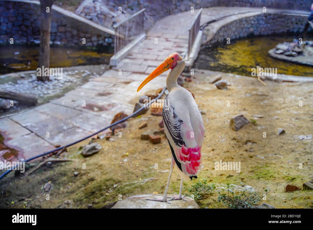 Il Parco Zoologico Nazionale è uno zoo di 176 ettari a Nuova Delhi, India. Una cittadella del XVI secolo, un'isola verde e una collezione di animali Foto Stock