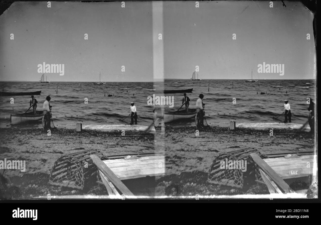 Pesca della Senna a Woods Hole Massachusetts. Pesca della Senna per la raccolta di esemplari per la Commissione del pesce degli Stati Uniti. C'è un vaso di aragosta in primo piano sulla spiaggia.Smithsonian Institution Archives, ACC. 11-006, riquadro 002, N. immagine MAH-1605 Foto Stock