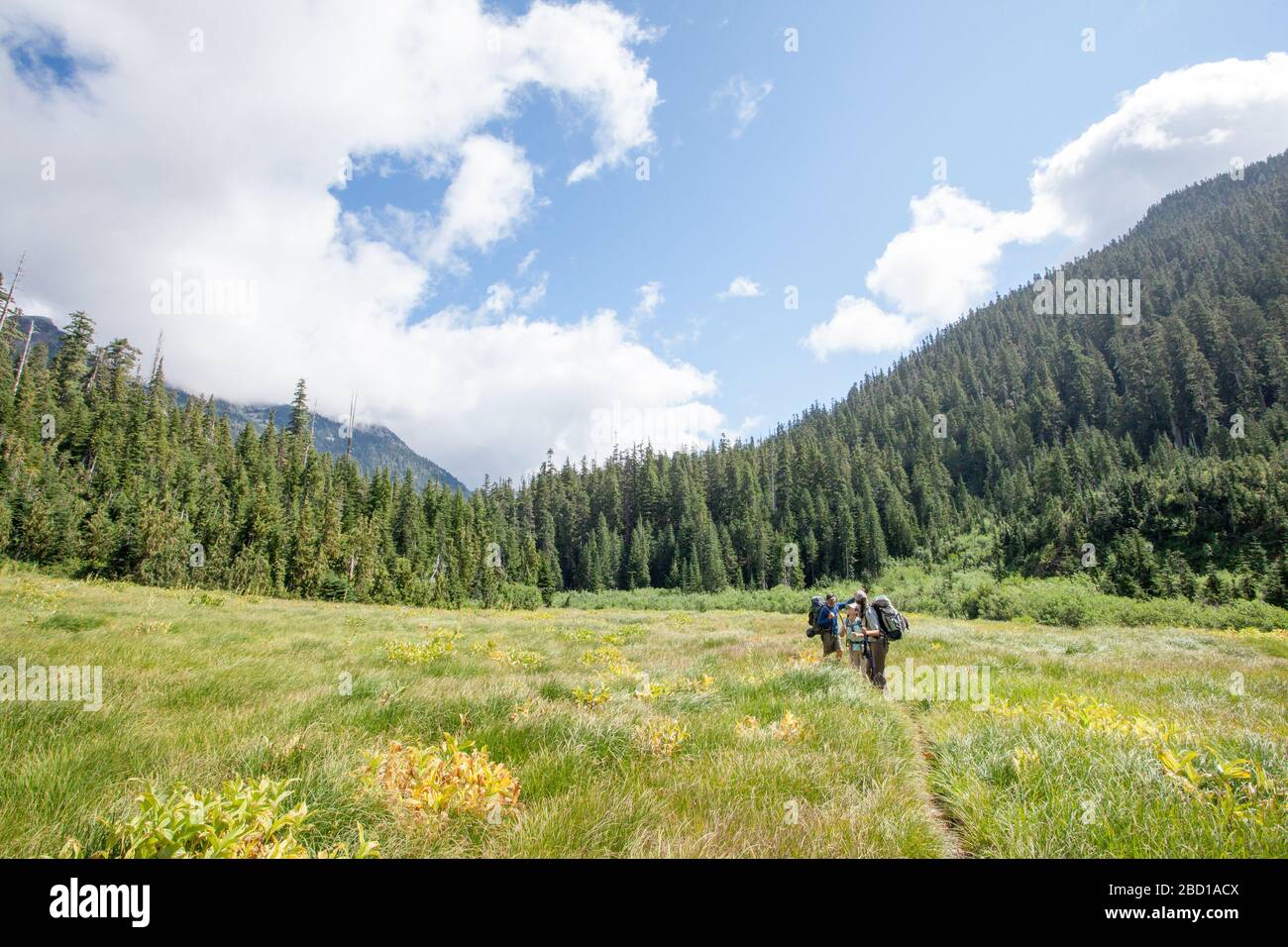 Backpackers pausa su un sentiero in una valle di montagna soleggiata con una foresta sempreverde sullo sfondo e un cielo parzialmente nuvoloso. Foto Stock