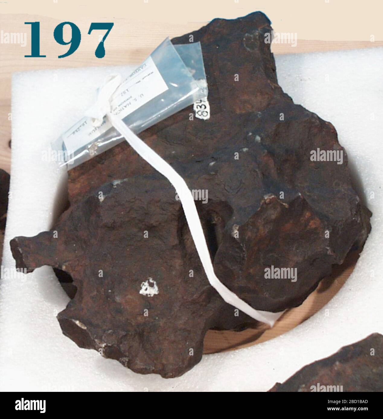 Canyon Diablo. 8 Apr 201955517521 Canyon Diablo Foto Stock