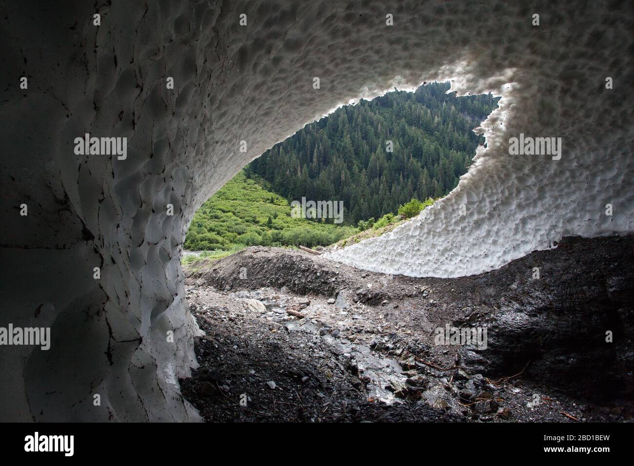 Una grotta naturale di neve scolpita da un torrente sul fianco di una montagna, con una foresta sempreverde visibile attraverso l'apertura. Foto Stock