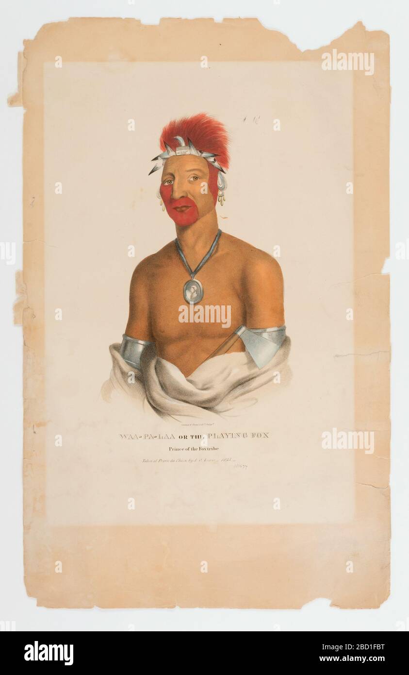 Giocare a Fox Prince of the Fox Tribe. Foto Stock