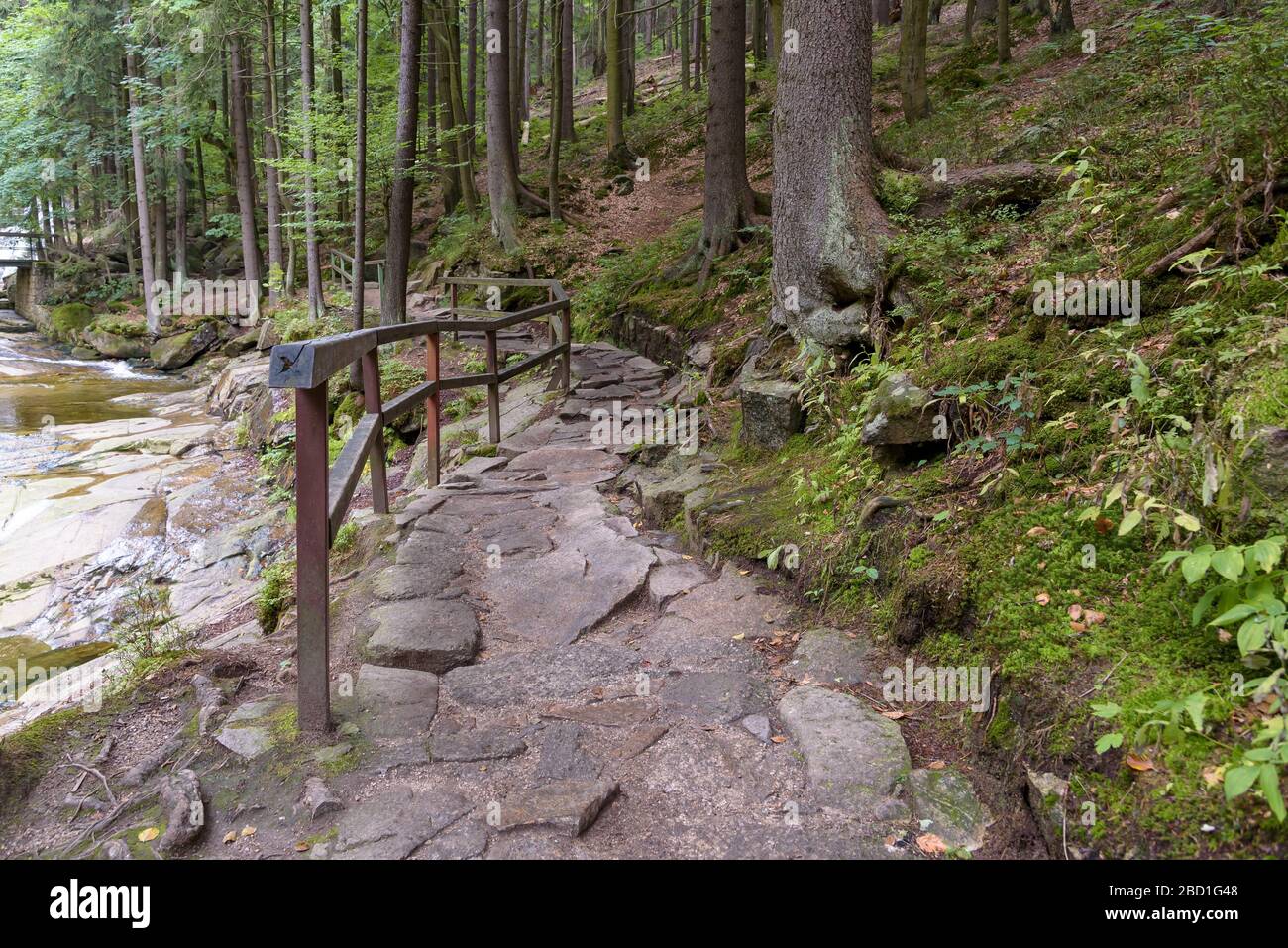 Percorso forestale per le cascate di Mumlava vicino Harrachov nelle montagne giganti nella Repubblica Ceca Foto Stock