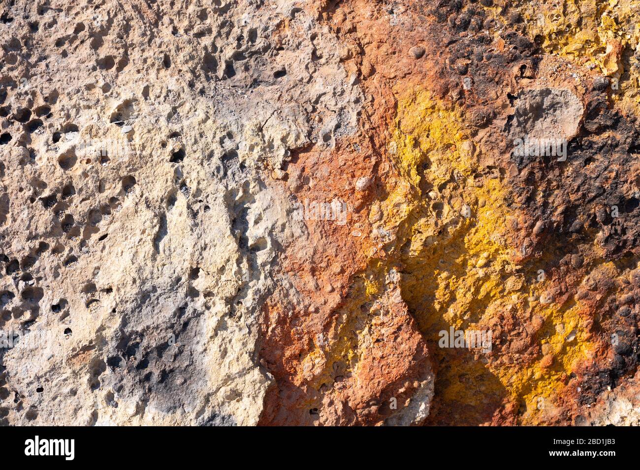 Struttura di roccia naturale conchiglia di roccia rocciosa, struttura di vita marina con calcare e tracce di erosione e ossido. Foto Stock