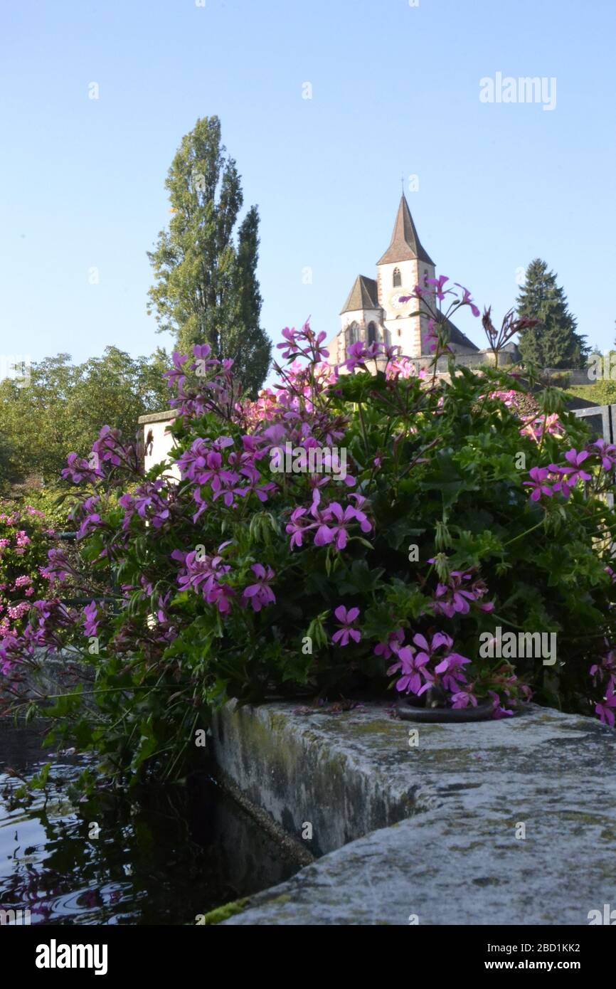 Il bellissimo villaggio di Alsazia vicino a Colmar in Alsazia Foto Stock