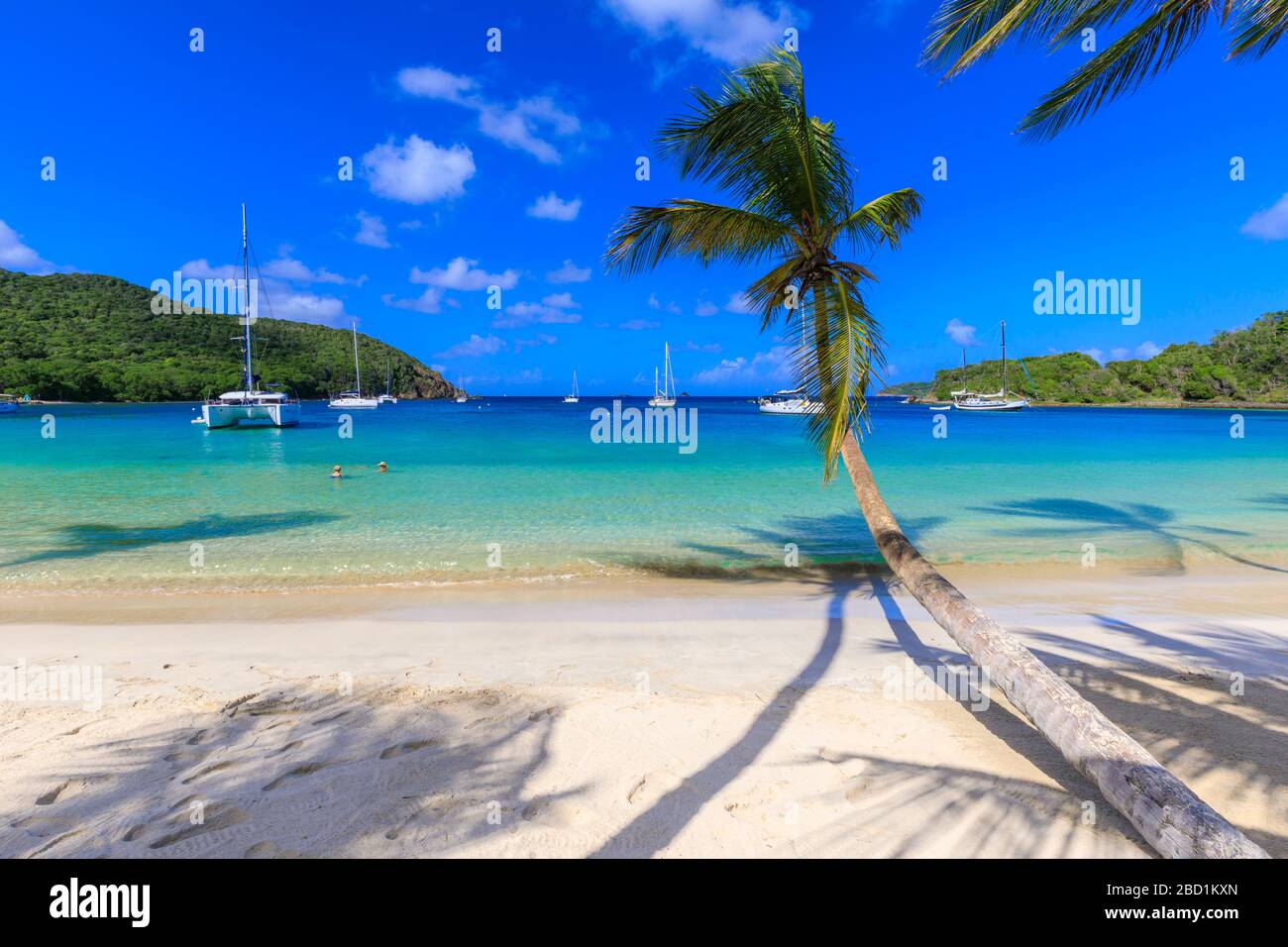 Splendida Saltwhistle Bay, yacht, spiaggia di sabbia bianca, mare blu, palme sovrastanti, Mayreau, Grenadine, St. Vincent e Grenadine, Caraibi Foto Stock