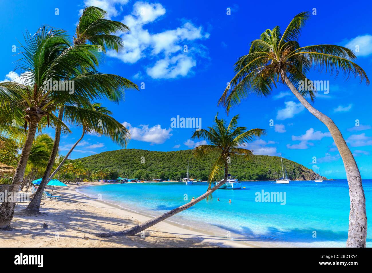 Splendida Saltwhistle Bay, yacht, spiaggia di sabbia bianca, mare blu, palme sovrastanti, Mayreau, Grenadine, St. Vincent e Grenadine, Caraibi Foto Stock