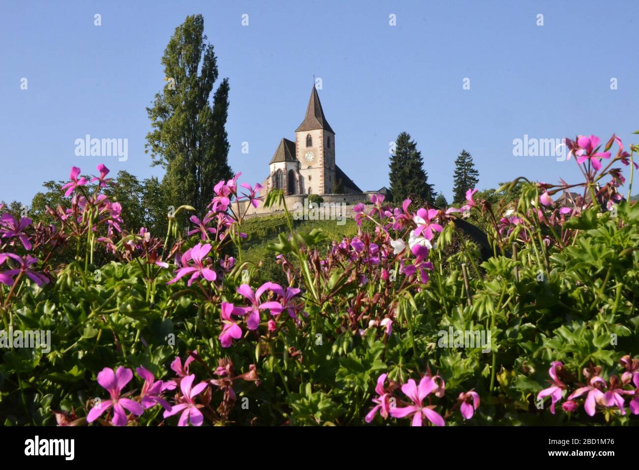 Il bellissimo villaggio di Alsazia vicino a Colmar in Alsazia Foto Stock