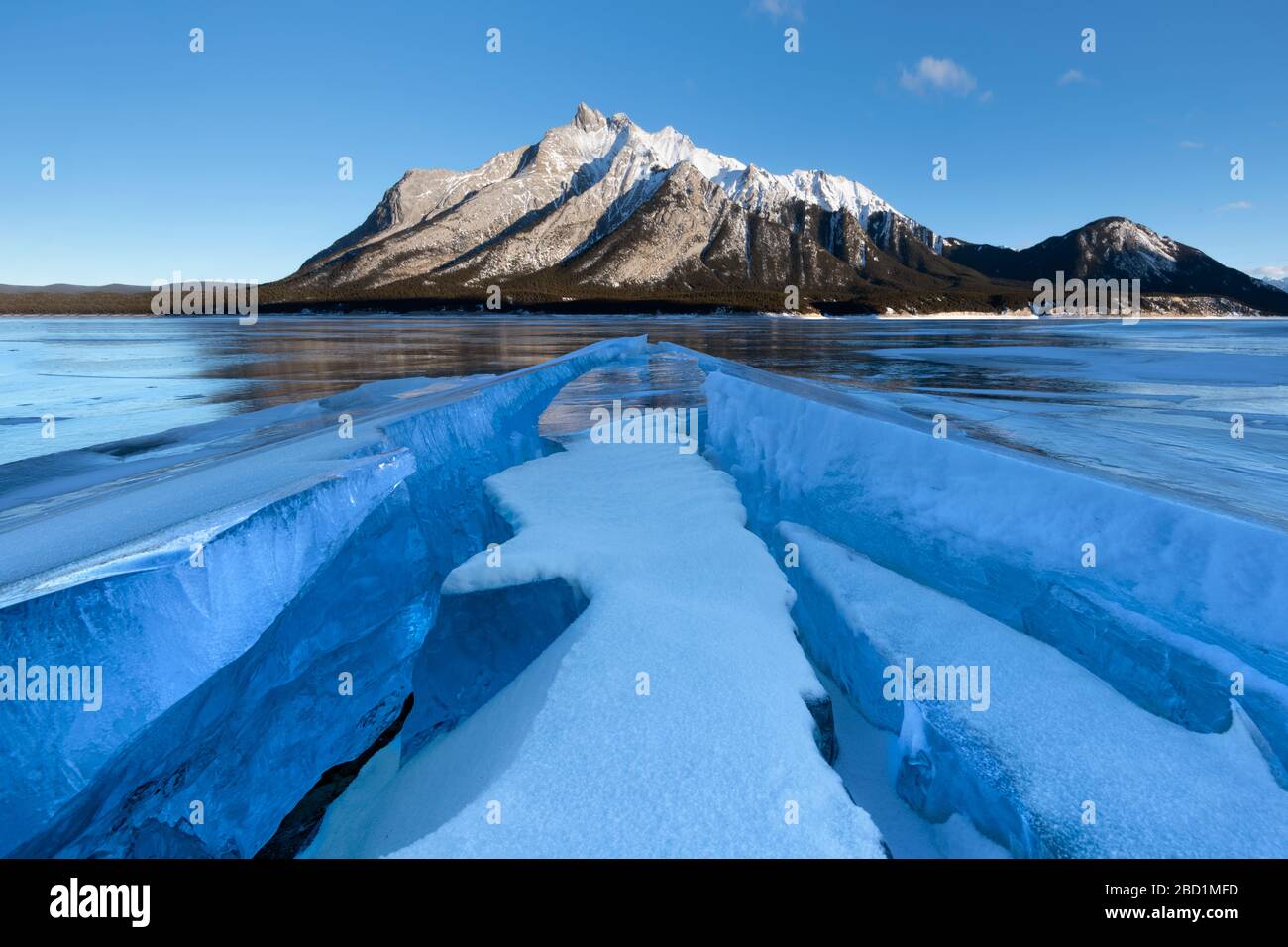 Formazioni di ghiaccio con il Monte Michener sullo sfondo all'alba, Abraham Lake, Kootenay Plains, Alberta, Canadian Rockies, Canada, Nord America Foto Stock