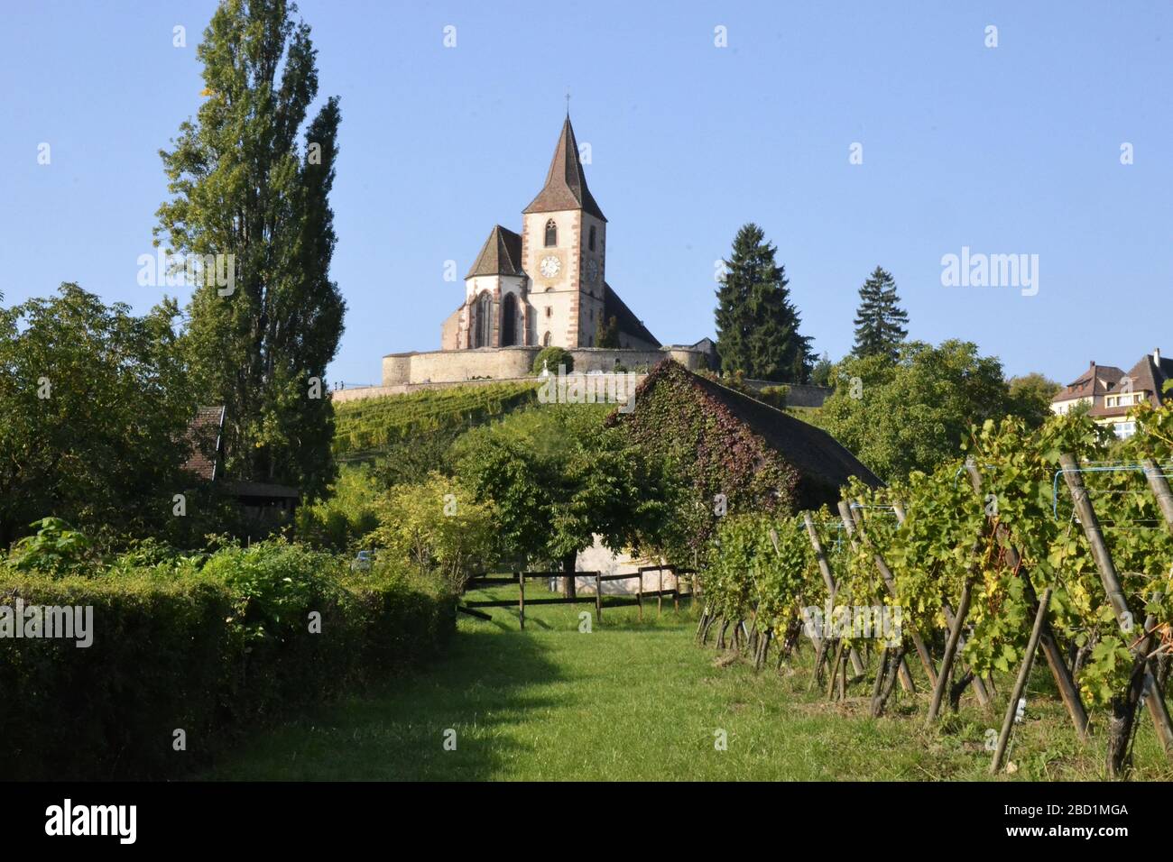 Il bellissimo villaggio di Alsazia vicino a Colmar in Alsazia Foto Stock