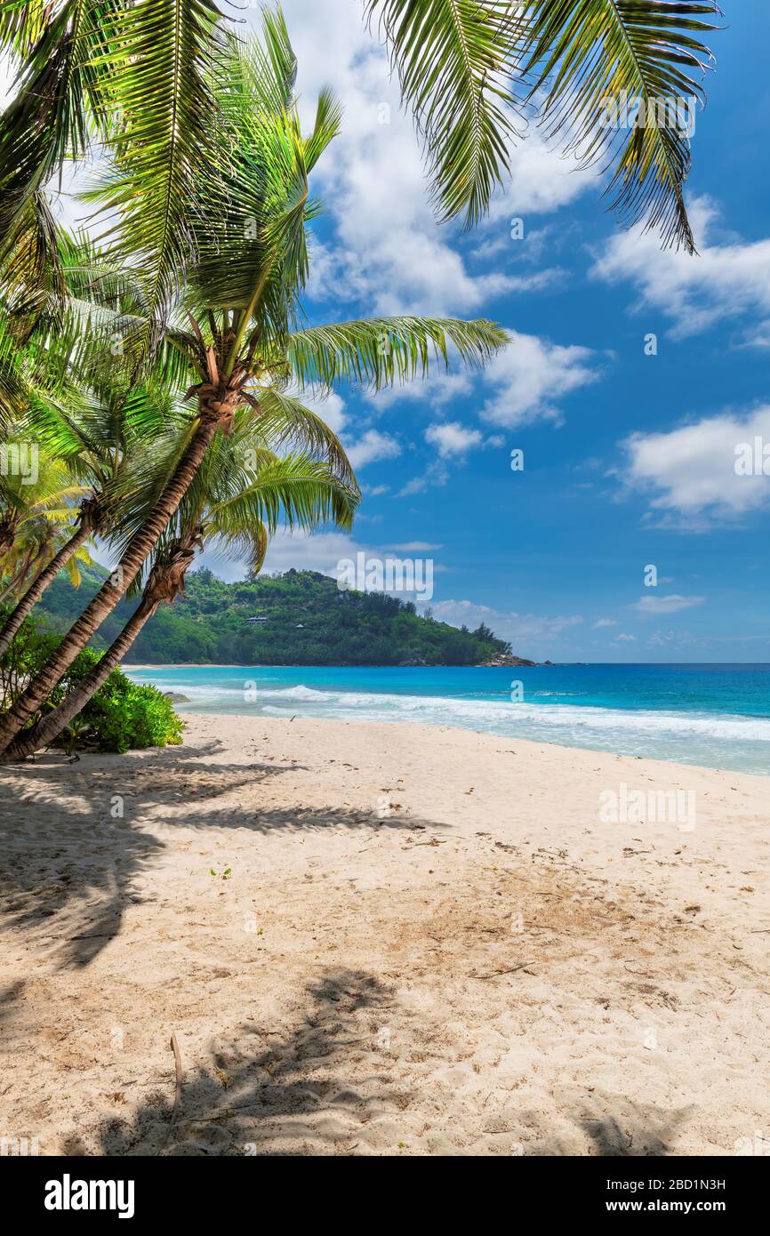 Spiaggia tropicale caraibica e soleggiata paradiso Foto Stock