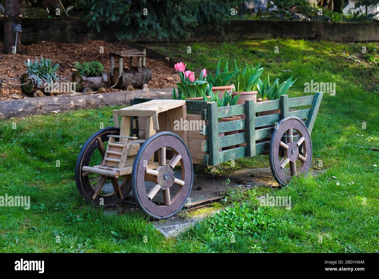 Camion in legno pieno di tulipani su erba verde al giardino ornamentale in primavera Foto Stock