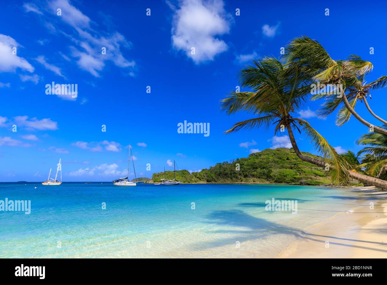 Splendida Saltwhistle Bay, yacht, spiaggia di sabbia bianca, mare blu, palme sovrastanti, Mayreau, Grenadine, St. Vincent e Grenadine, Caraibi Foto Stock