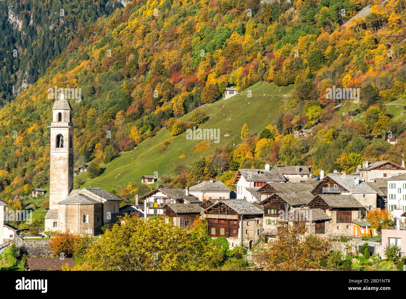 Larici e boschi che incorniciano il villaggio di Soglio in autunno, Val Bregaglia, Canton Graubunden, Svizzera, Europa Foto Stock