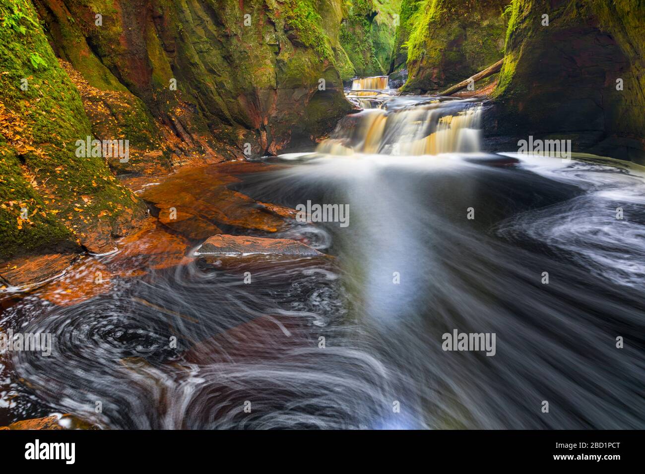 Gorge at the Devil's Pulpit, Finnich Glen, Stirlingshire, Scozia, Regno Unito, Europa Foto Stock