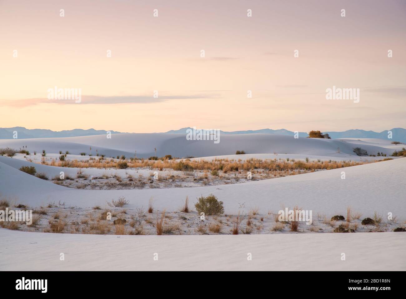 White Sands National Park vicino ad Alamogordo, New Mexico, Stati Uniti d'America, Nord America Foto Stock