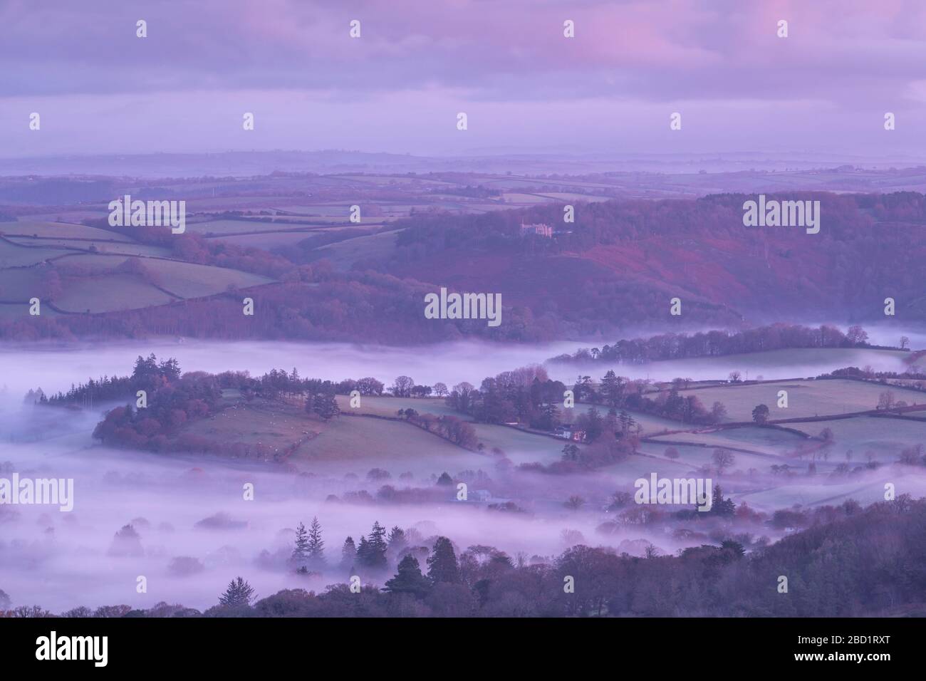 La Mist ha avvolta la campagna di Dartmoor vicino a Castello Drogo in inverno, Dartmoor National Park, Devon, Inghilterra, Regno Unito, Europa Foto Stock
