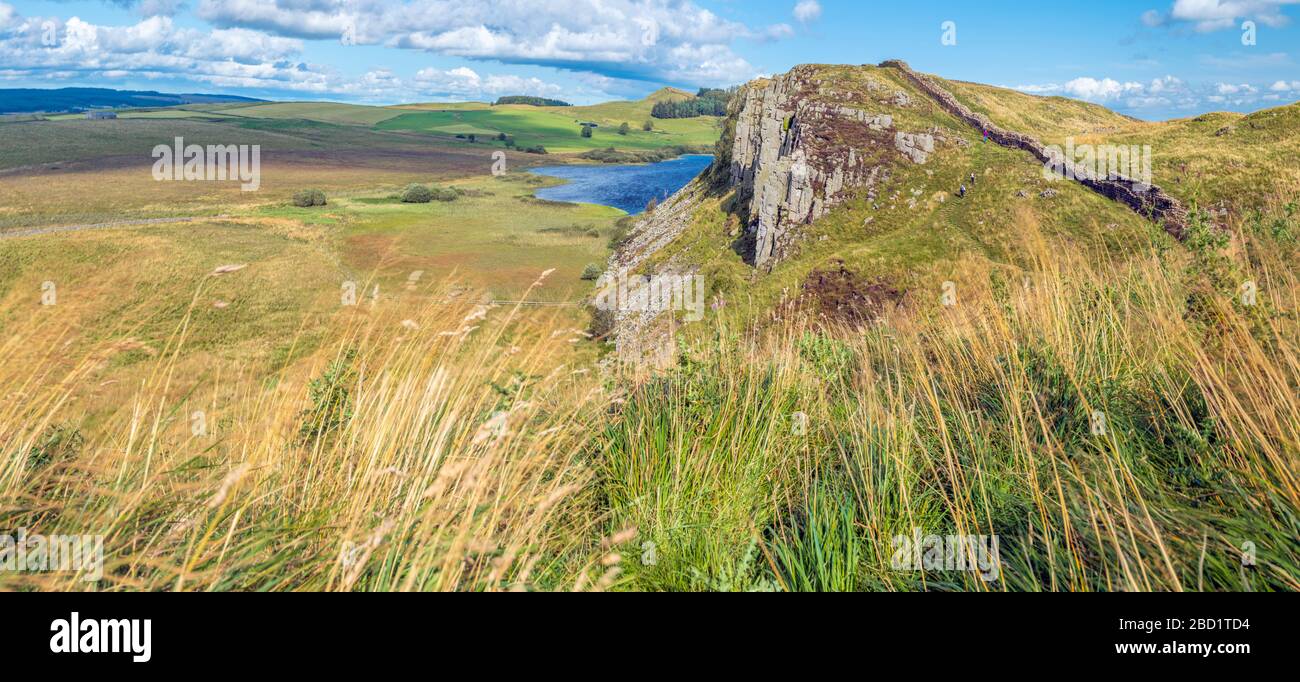 Sycamore Gap, Muro di Adriano, Patrimonio dell'Umanità dell'UNESCO, Henshaw, Hexham, Northumberland, Inghilterra, Regno Unito, Europa Foto Stock