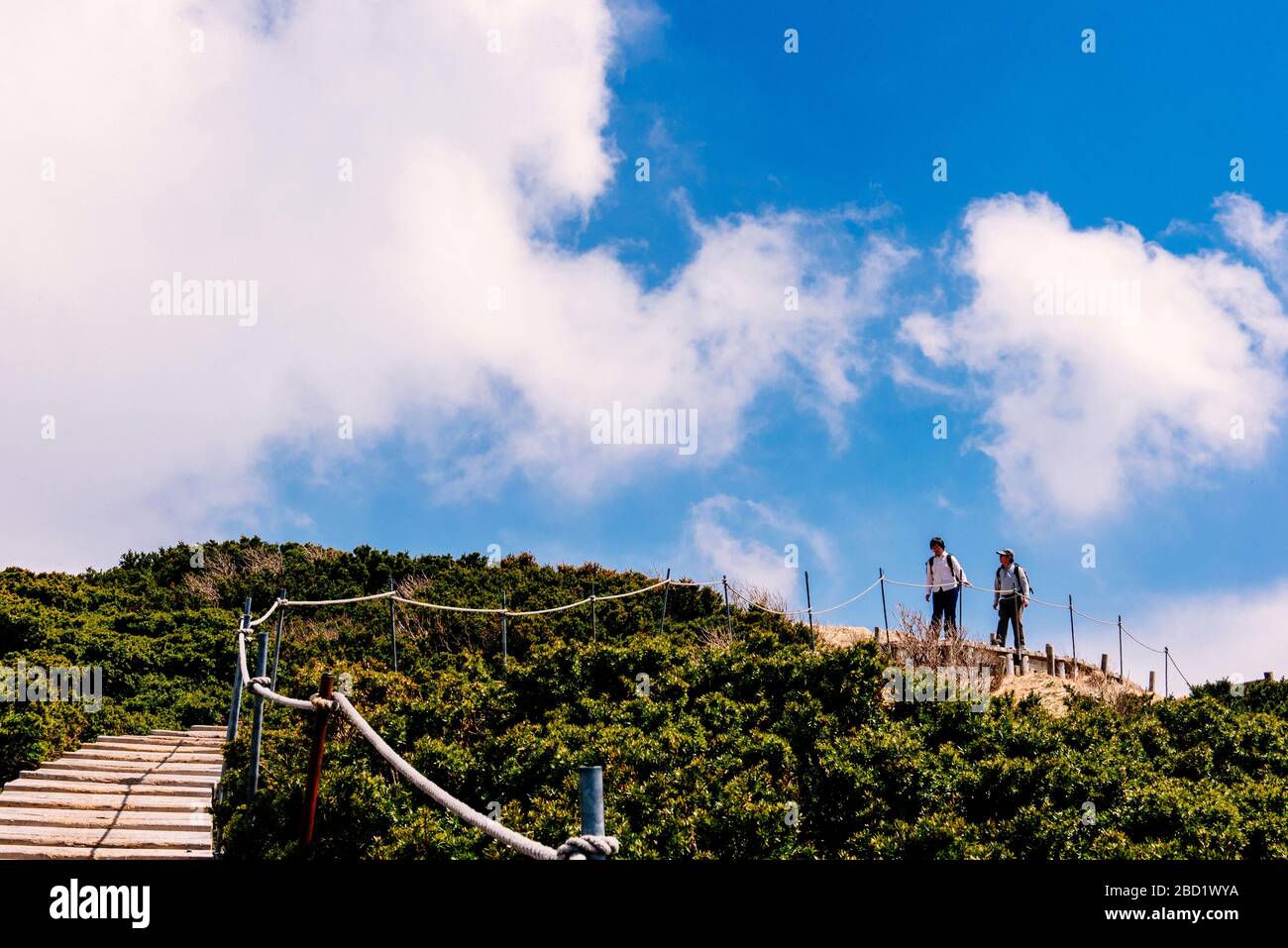 Due escursionisti che camminano sul sentiero in cima al monte Daisen a Tottori, Giappone. Foto Stock