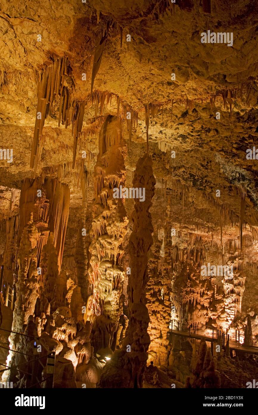 Grotta di corallo presso la Riserva Naturale della Grotta di Soreq Stalactite (chiamata anche Grotta di Avshalom). Questa grotta lunga 82 metri e larga 60 metri si trova sulle pendici occidentali di Foto Stock