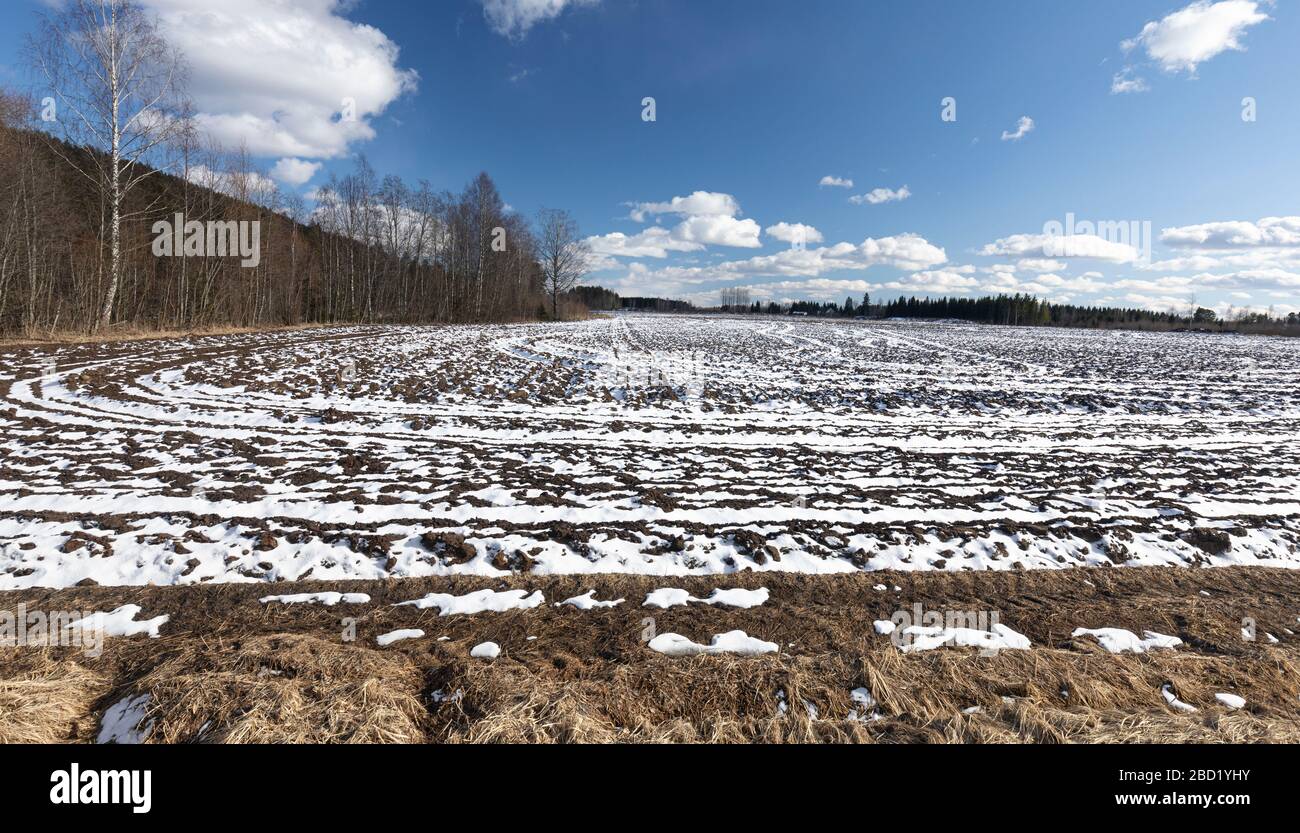 Campo arato coperto di neve fresca nuova a primavera , Finlandia Foto Stock