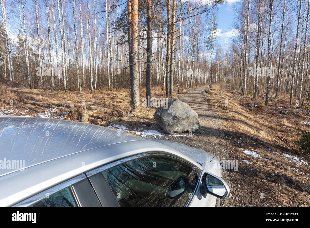 Strada forestale vuota bloccata da un grande masso di pietra , Finlandia Foto Stock