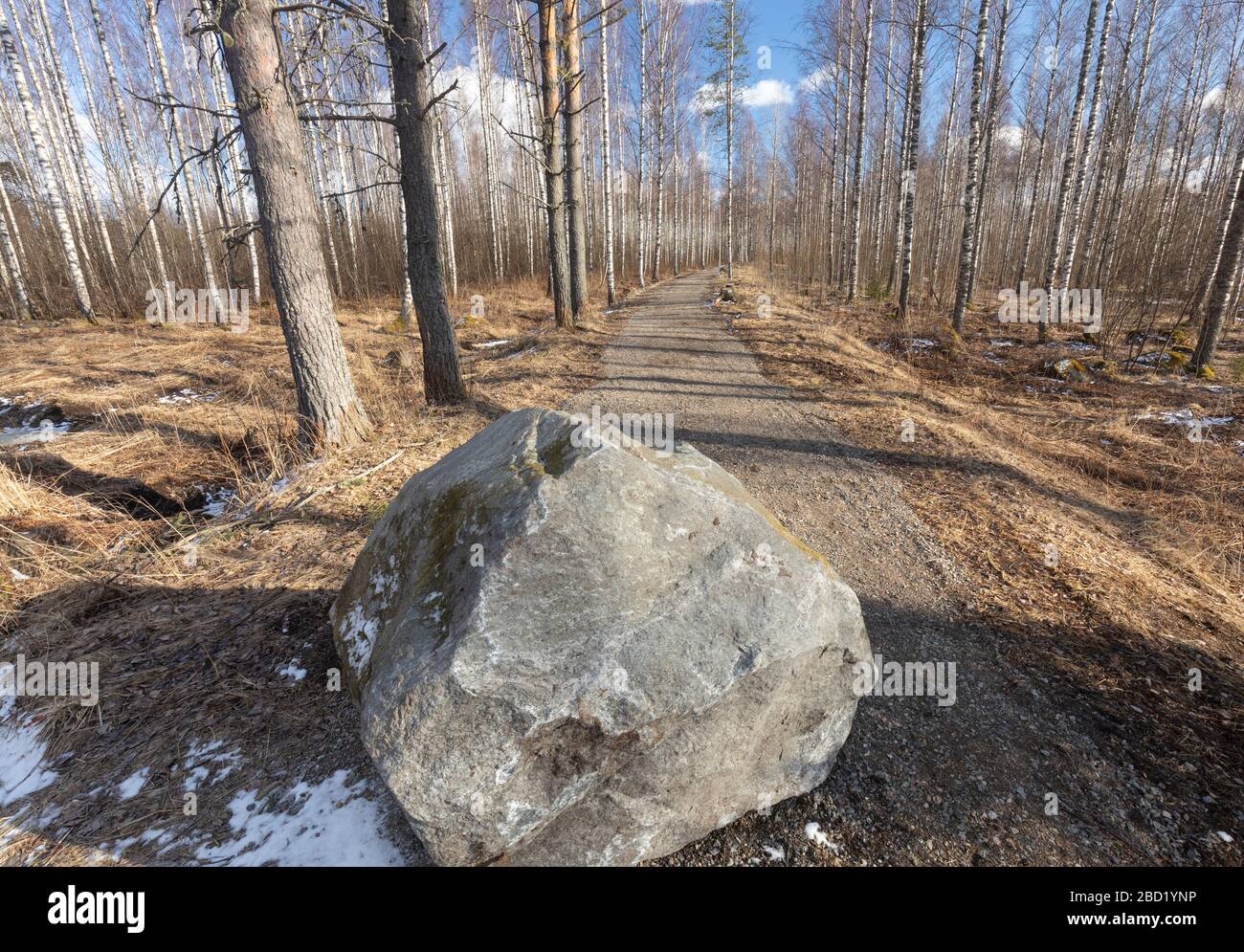 Vuota strada forestale chiusa da un grande masso di pietra Foto Stock