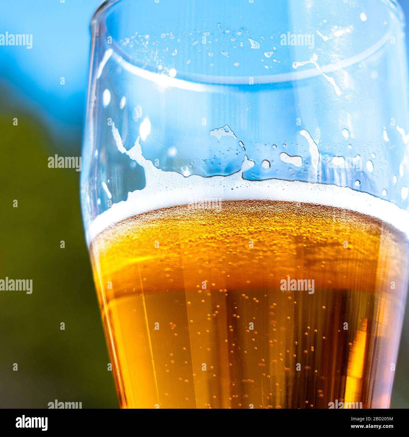 Birra leggera in un bicchiere di vino durante un picnic sulla natura Foto Stock