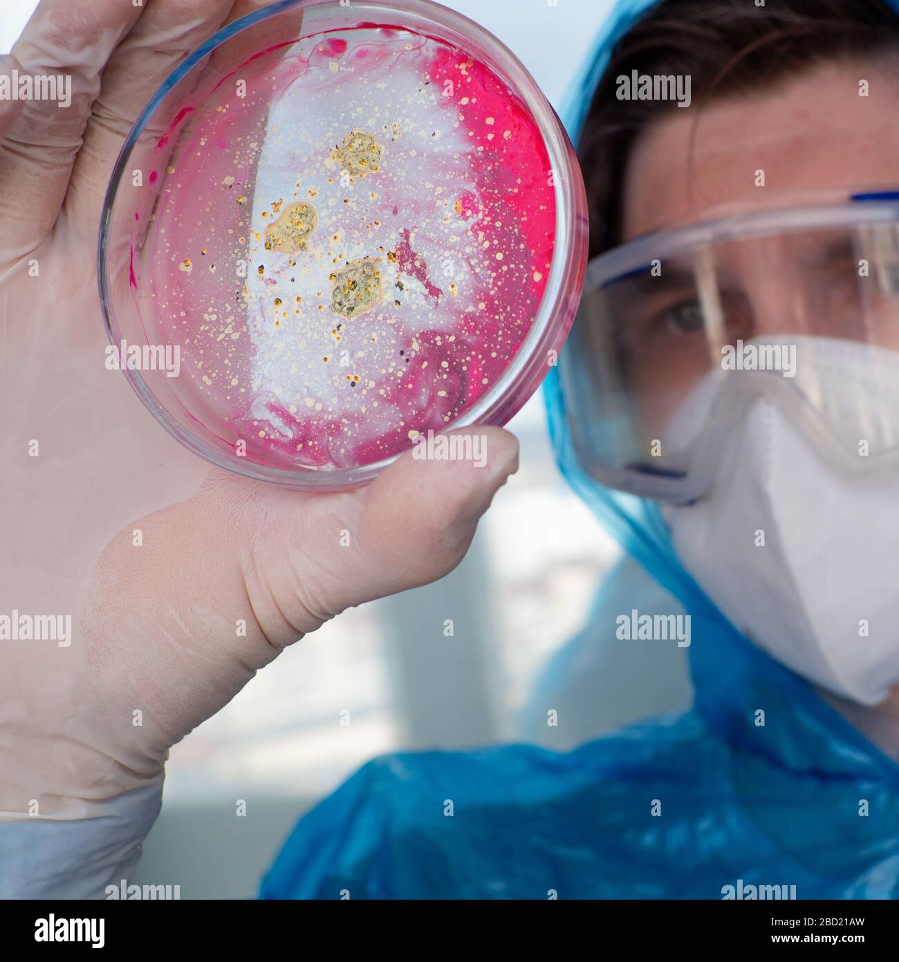 Epidemiologo sviluppa un vaccino e indaga il virus. Patogeni virali e batteriologici. Foto Stock