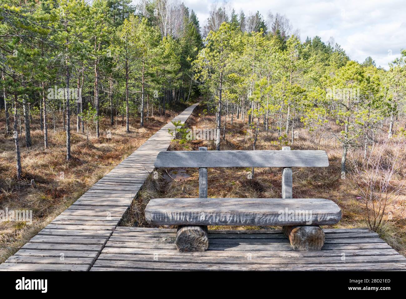 Sentiero in legno e panchina nel parco nazionale storico Trakai, riserva zoologica botanica, sentiero cognitivo, lungo sentiero tortuoso sulla palude nella foresta Foto Stock
