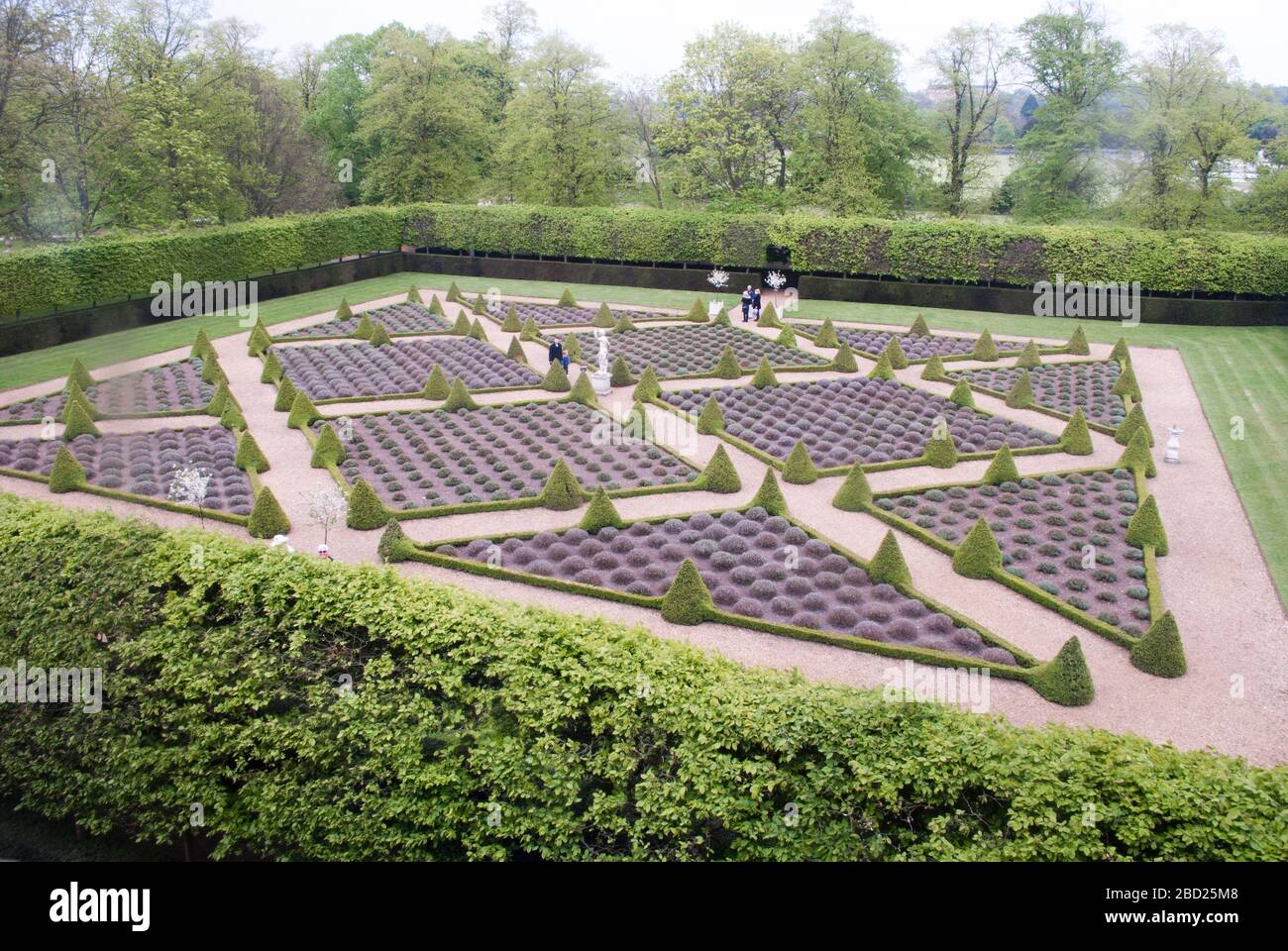 Giardino formale Lavanda Box copertura Topiary natura 17 ° secolo Stuart architettura paesaggio Ham House, Ham Street, Richmond-upon-Thames TW10 7RS Foto Stock