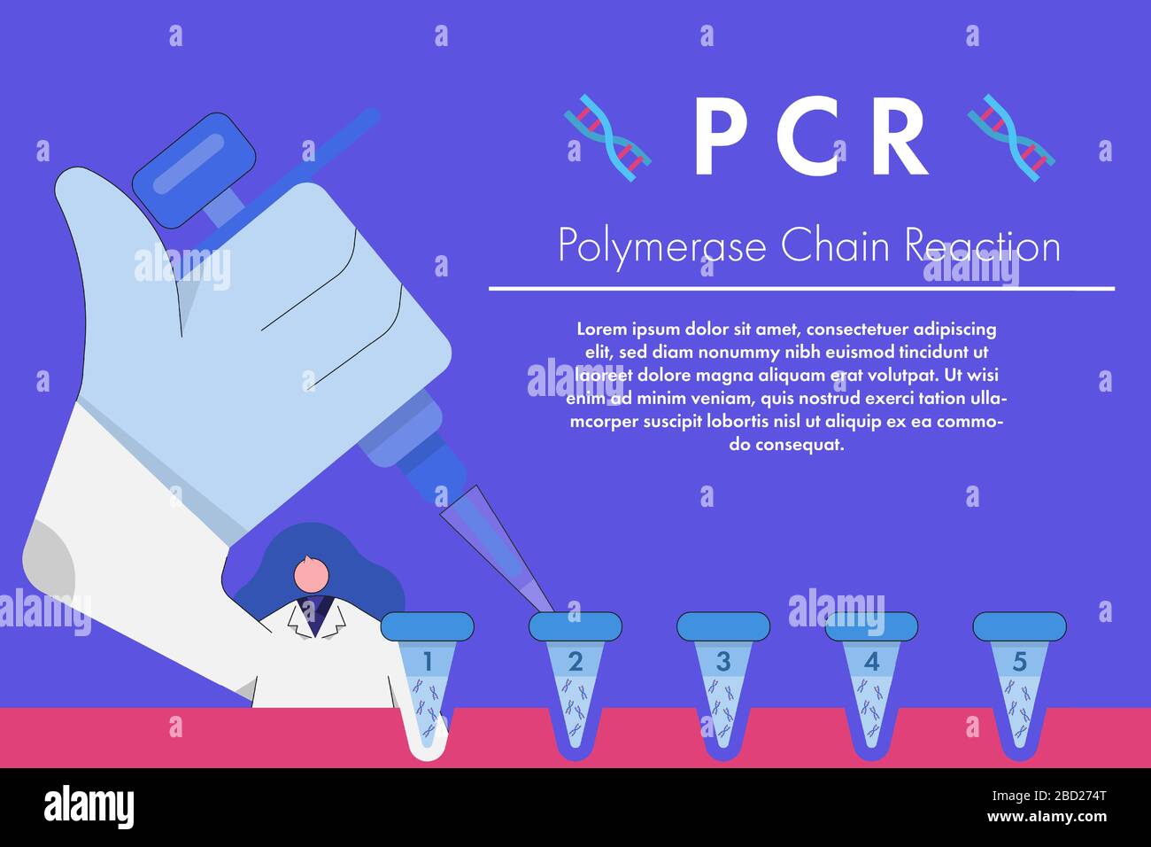 Lo scienziato medico trasferirà il campione di DNA estratto in una provetta per il processo di amplificazione mediante reazione a catena della polimerasi o PCR. Illustrazione Vettoriale