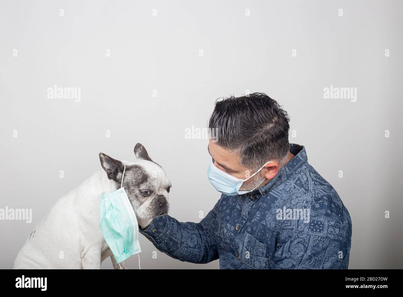 Uomo con maschera chirurgica protettiva e guanti in lattice che strofino il suo animale domestico. Cane bulldog francese Foto Stock