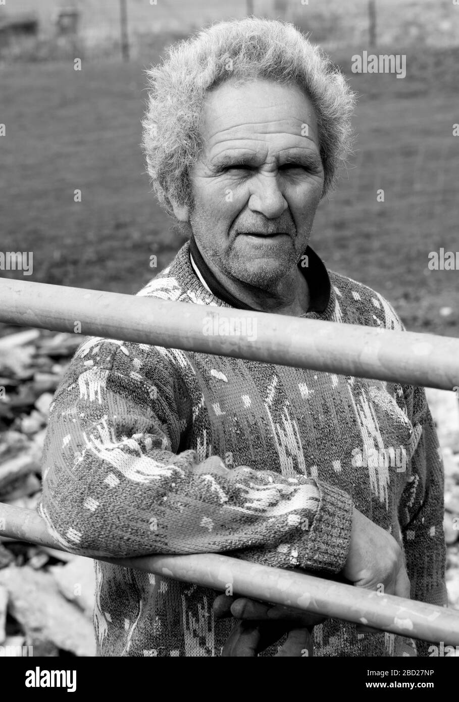Ritratto di un imprenditore Foto Stock