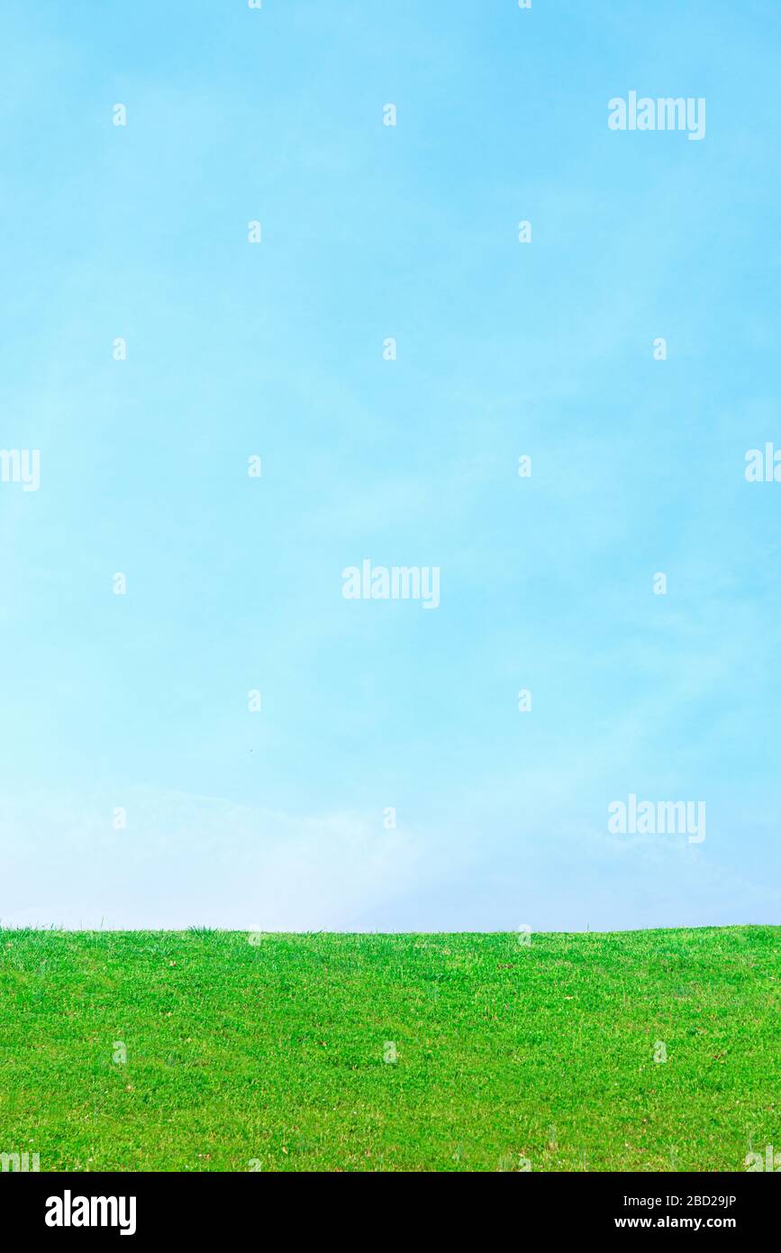 Inquadratura verticale di un chiaro sfondo verde di erba blu-cielo. Molto spazio per le copie. Foto Stock
