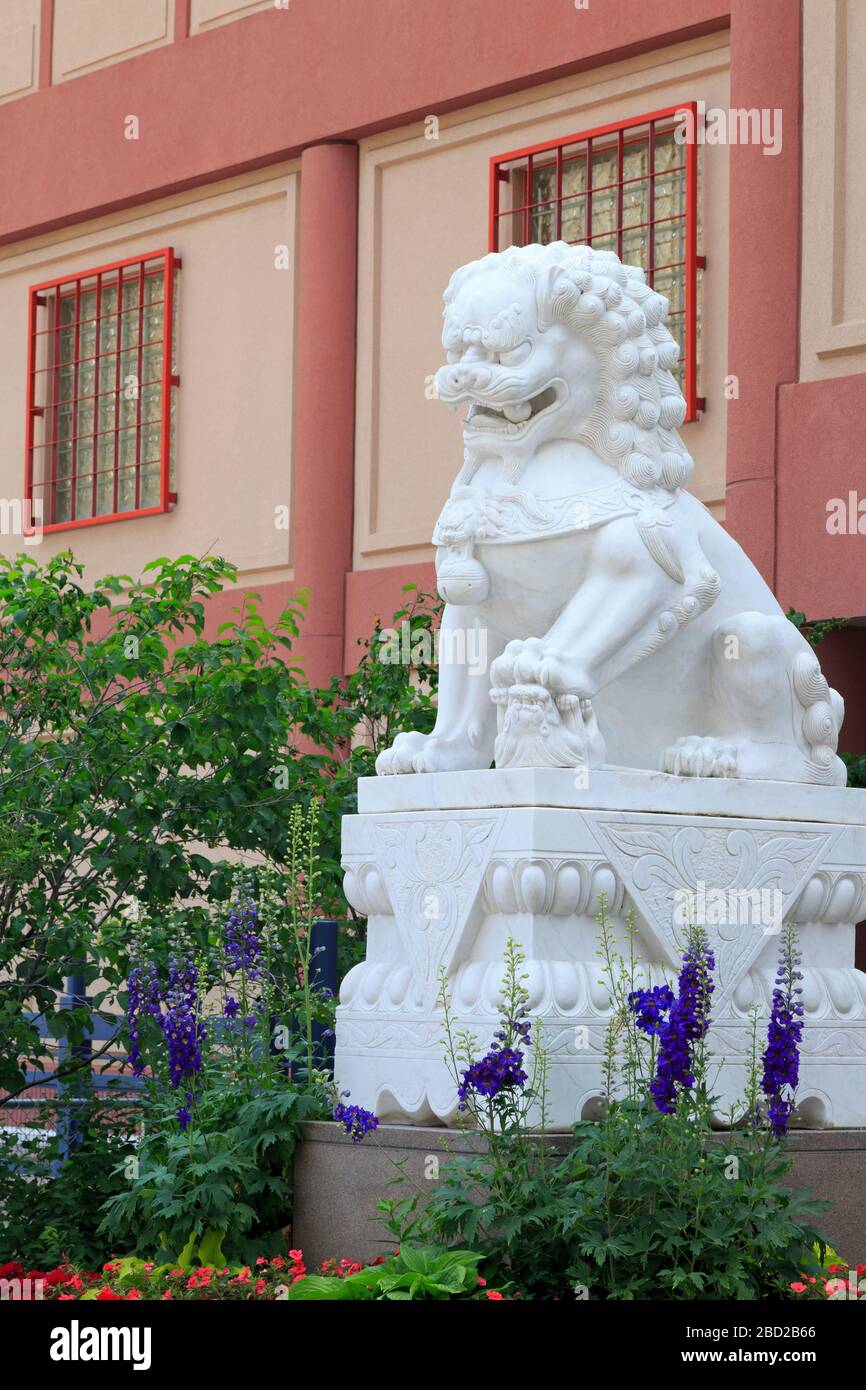 Statua del Leone, Centro Culturale Cinese, Chinatown, Calgary, Alberta, Canada Foto Stock