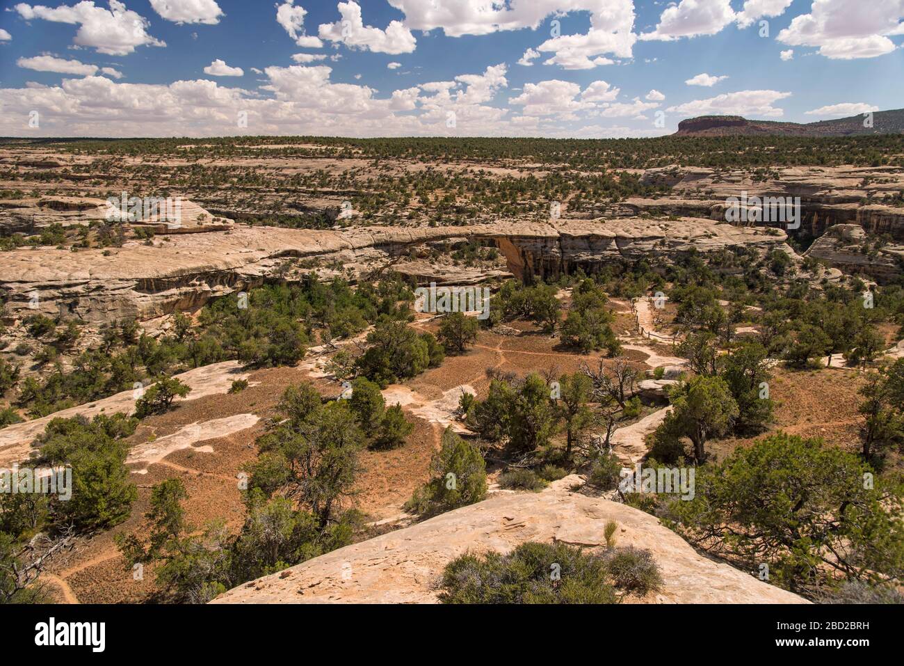 Owachomo Bridge nel Natural Bridges National Monument, Utah, USA Foto Stock